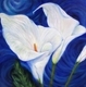 Calla Lily #1