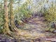 Dappled Light - Path