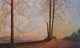 Early Spring Morning