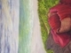 Red Blanket - Basket